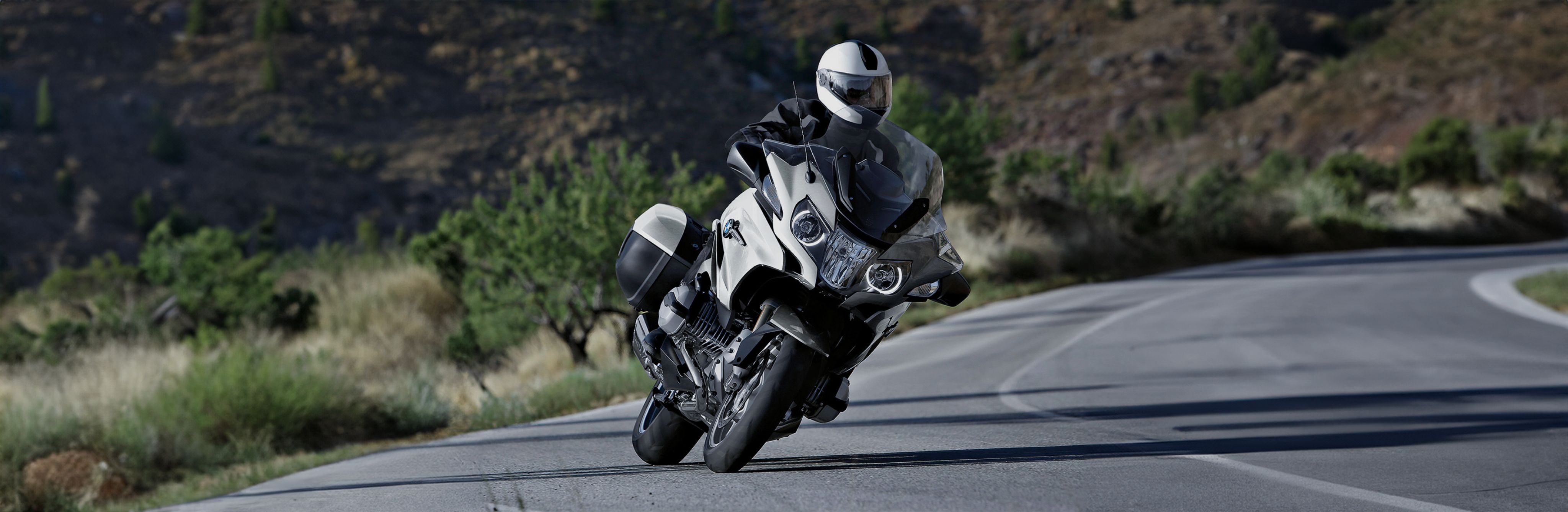 Cruiser/Touring Bikes