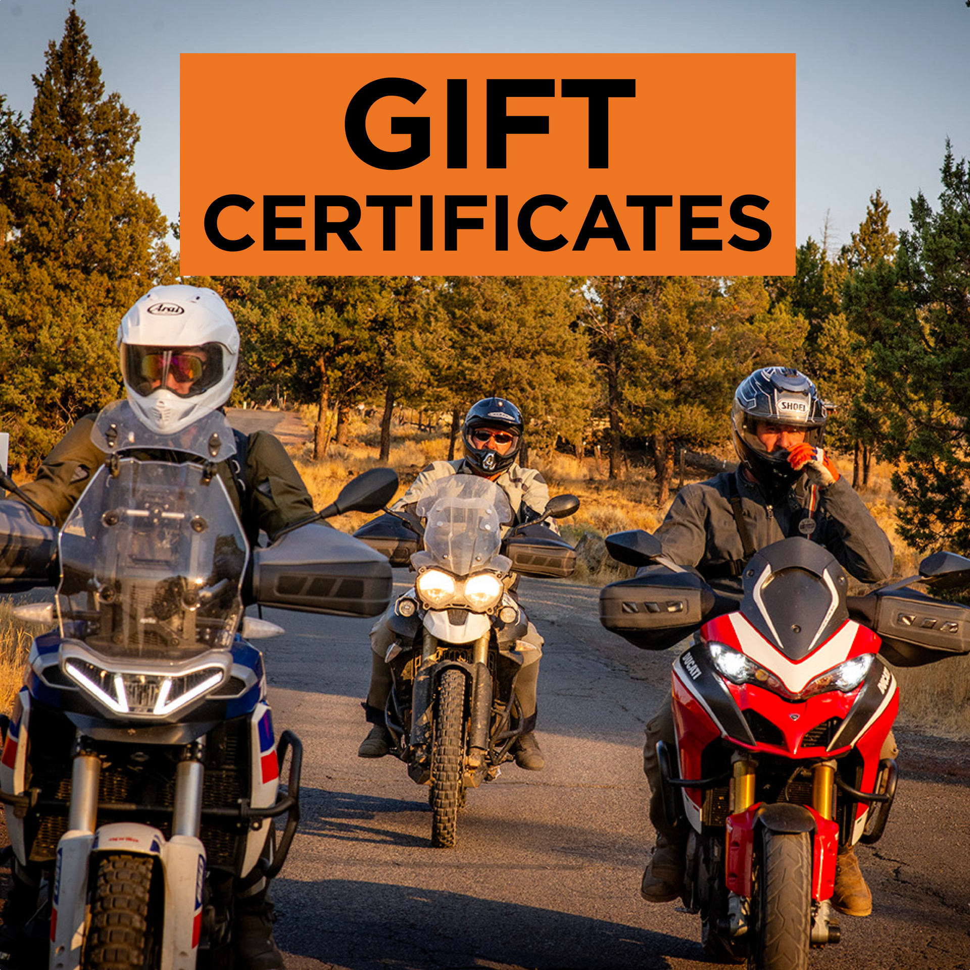 Gift Cards | The Perfect Gift for Riders | Hippo Hands